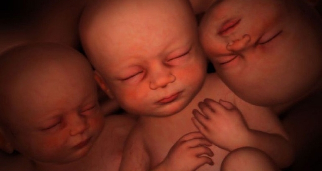 Imagem ilustra gêmeos no útero. (Imagem: God Reports)