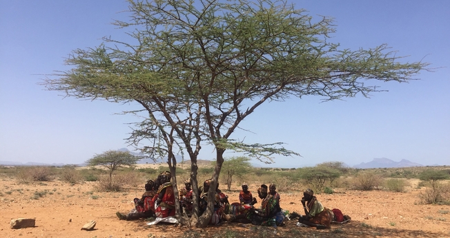 Grupo se reúne debaixo de árvore norte do Quênia, para ouvir Bíblia em áudio movida a energia solar. (Foto: World Mission)