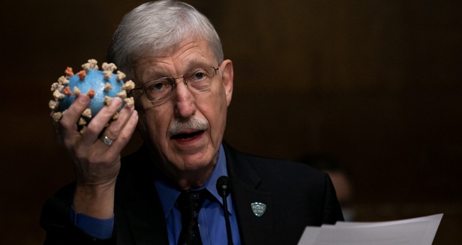 O diretor dos Institutos Nacionais da Saúde dos EUA, Francis Collins, segura um modelo do coronavírus em audiência sobre vacina no Senado americano. (Foto: Graeme Jennings-Pool/Getty Images)