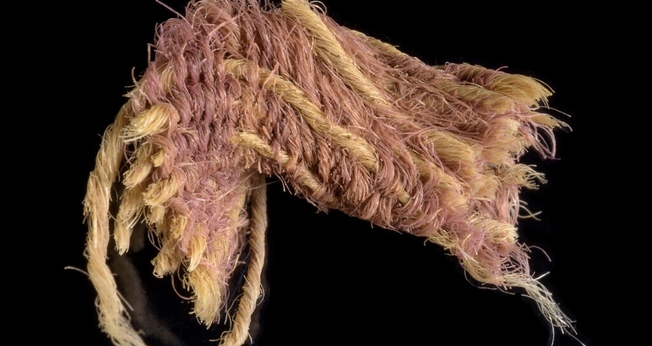 Fragmento do raro tecido roxo de 1.000 a.C, escavado no vale de Timna. (Foto: Dafna Gazit/Autoridade de Antiguidades de Israel)