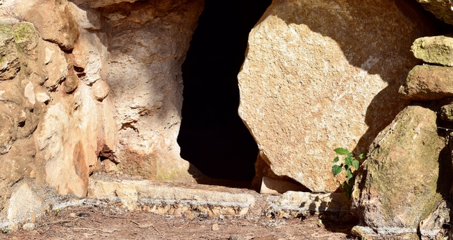 (Foto: Fr. Daniel Ciucc/Unsplash)
