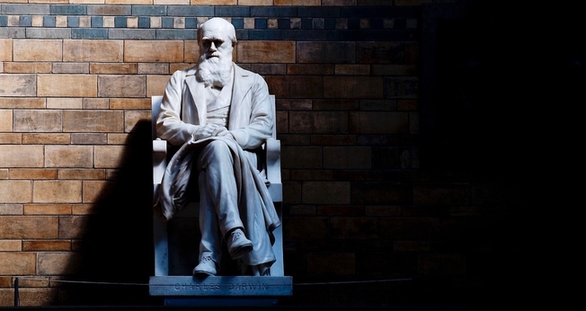 Estátua de Charles Darwin no Museu de História Natural de Londres. (Foto: CGP Grey/Flickr)