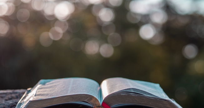 (Foto: Aaron Burden/Unsplash)