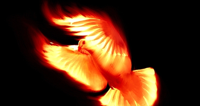 (Foto: Reprodução/Internet)