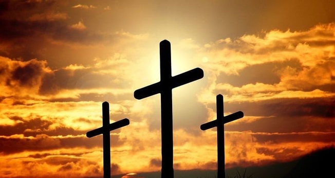 (Foto: Scriptural Seeds)