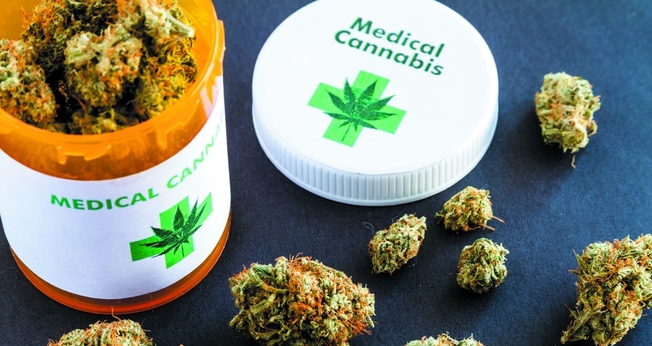 Cannabis é utilizada como medicamento. (Foto: Reprodução/Thinkstock)