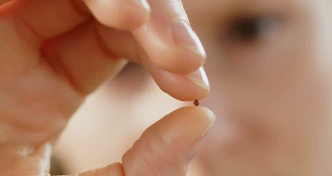 (Foto: Shutterstock)