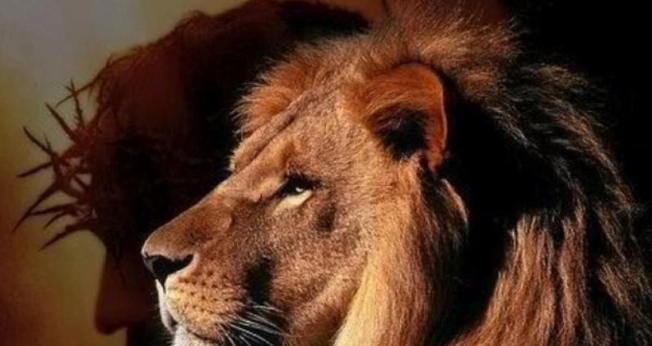 (Foto: Femi Royal Blog)