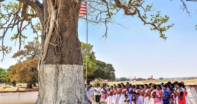 Aldeões em ritual de adoração tribal na árvore sarna. (Foto: Reprodução / Gurpreet Singh Ranchi)