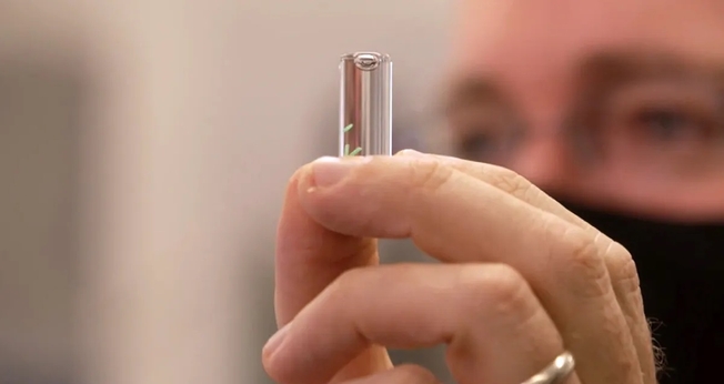 Pentágono revela sensor que detecta Covid no corpo. (Foto: Reprodução / 60 Minutes)