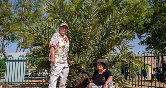 Dra. Elaine Solowey (à esquerda) com a tamareira que germinou de uma semente do período de Jesus. (Foto: Marcos Schonholz)