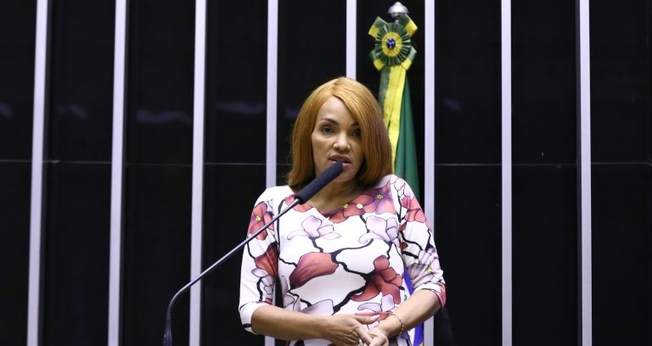 Flordelis se defendeu das acusações durante discurso em Plenário. (Foto: Reprodução / Agência Câmara de Notícias)