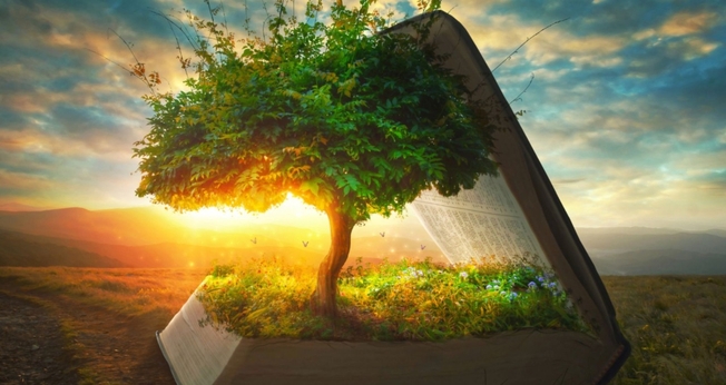 Árvore dentro da Bíblia. (Foto: Pinterest)