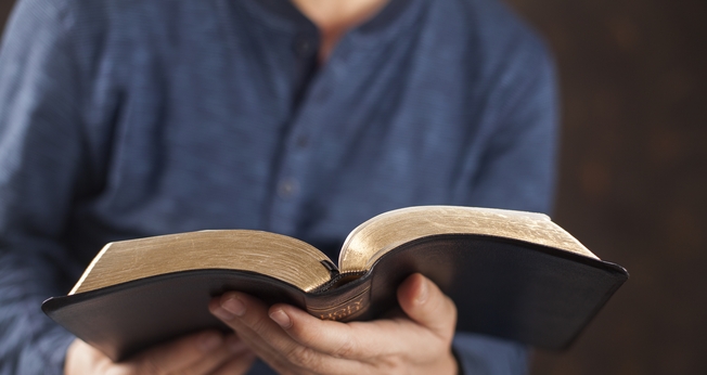 Leitura da Bíblia é vedada em sessões legislativas paulistas. (Foto: Anelina / Shutterstock)