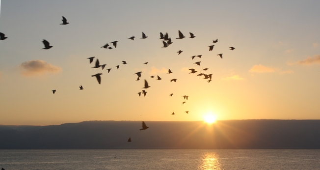 Mar da Galileia, Israel. (Foto: BRBurton23 / Pixabay)