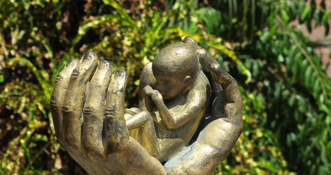 Imagem simbólica de proteção à vida. (Foto: Reprodução/Pixabay)