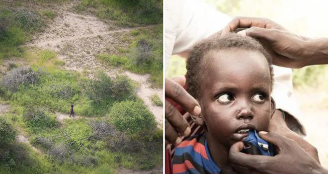 Ayub estava sozinho no deserto e enfrentando o mau tempo, fome, predadores e um caso de malária. (Foto: Reprodução/TODAY/Sheldrick Wildlife Trust)