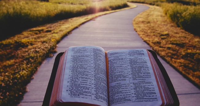 (Foto: Unsplash/Aaron Burden)