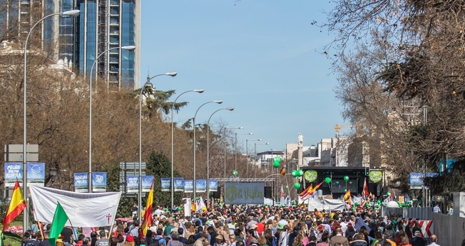 Os manifestantes saíram às ruas de Madri para defender a vida desde seu início. (Foto: Twitter/Javier Ortega Smith).