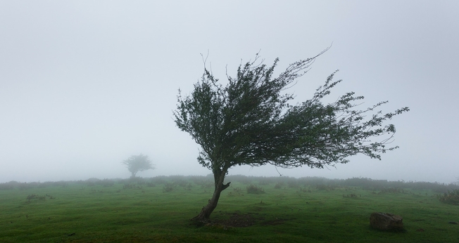 (Foto: Unsplash/Khamkéo Vilaysing)