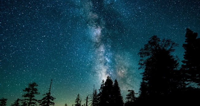 (Foto: Unsplash/Casey Horner)