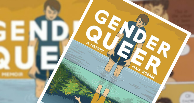 Capa do livro “Gender Queer”, que traz ilustrações sexuais explícitas. (Montagem Guiame: divulgação)