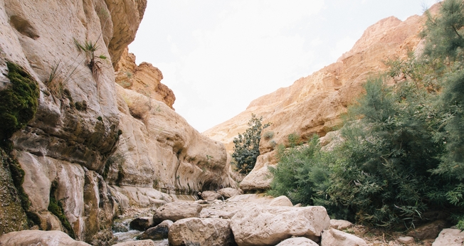 Galileia. (Foto: Imagem ilustrativa/Unsplash/Robert Bye).