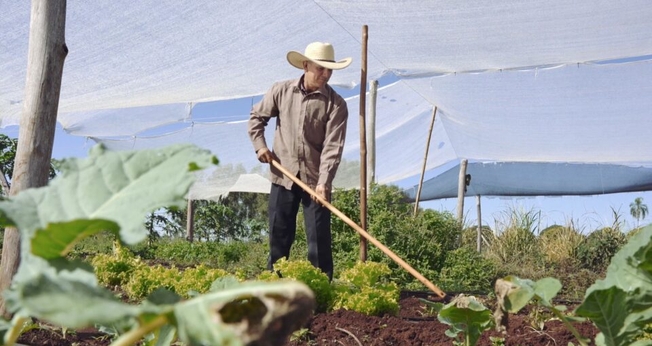 Prudencio plantou alface para construir igreja. (Foto: MultimediaUP).