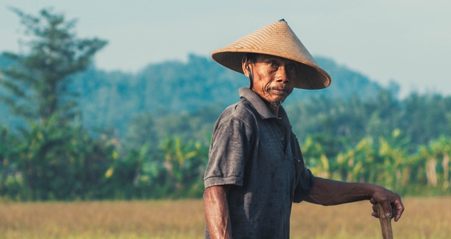 Imagem ilustrativa. (Foto: Unsplash/Sebastian Staines).