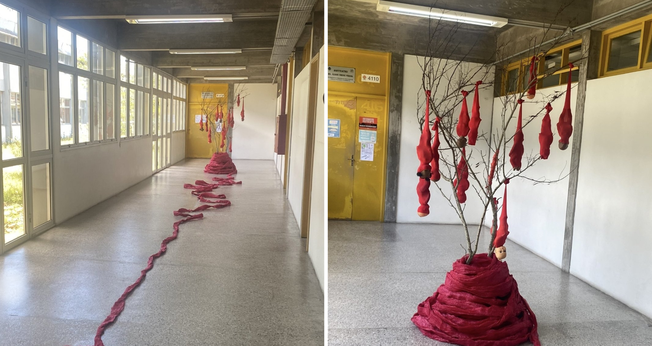 Exposição 'árvore de abortos'. (Foto: X/@profpaulamarisa)
