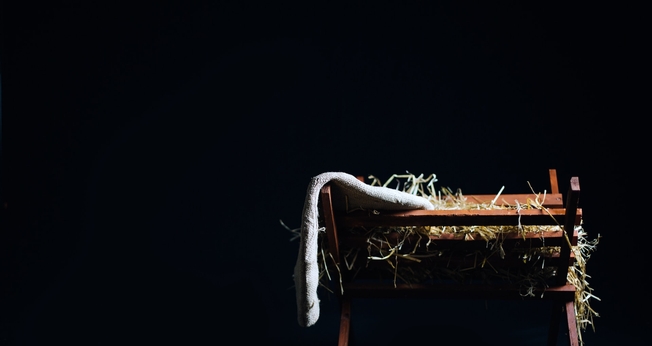 Imagem ilustrativa. (Foto: Unsplash/Jon Carlson).