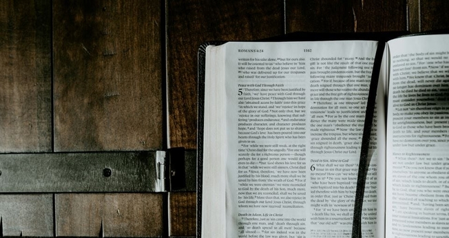 (Foto: Unsplash/Daniel Day Media)