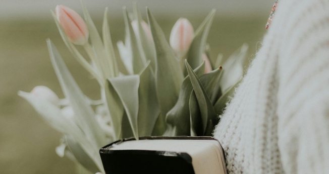 (Foto: Unsplash/Priscilla Du Preez)