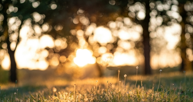 (Foto: Unsplash/Clément Falize)