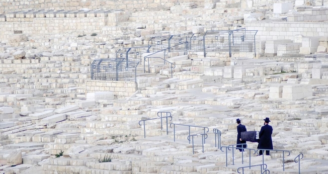 (Foto: Unsplash/Zoltan Tasi)