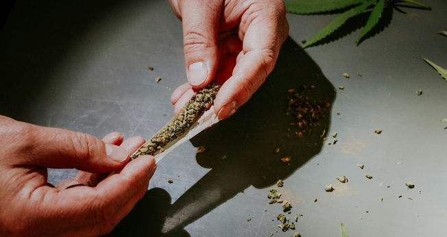 Maioria dos brasileiros são contra a liberação da maconha. (Foto ilustrativa: Unsplash/Elsa Olofsson)