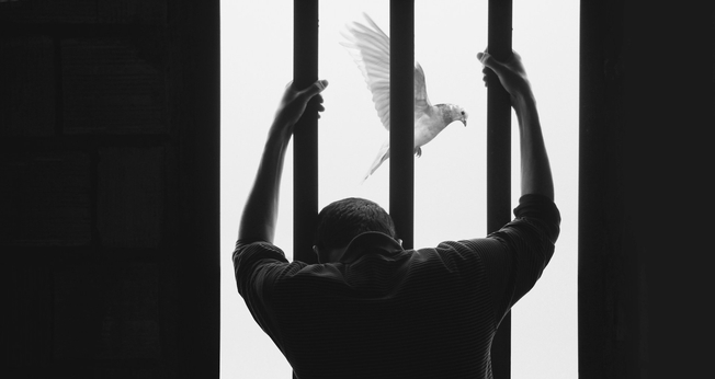 (Foto: Unsplash/Hasan Almasi)