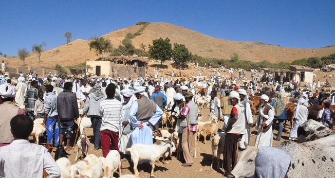 A Eritreia, localizada no Chifre da África, é um estado de partido único liderado por Isaias Afwerki. (Foto representativa: Pixabay)