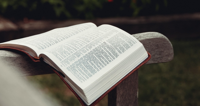 (Foto: Unsplash/Aaron Burden)