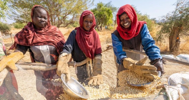 As mulheres ajudam a separar e distribuir os alimentos. (Foto: Reprodução/Samaritan's Purse)