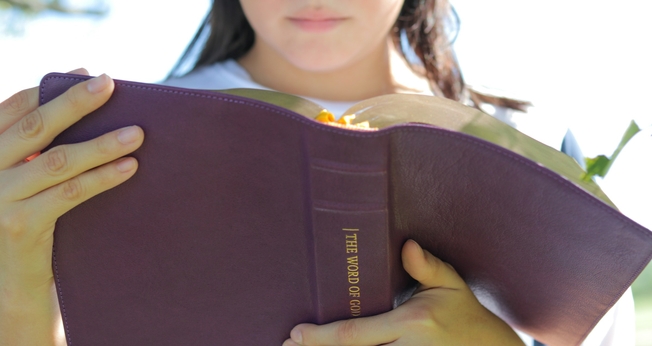 Imagem ilustrativa. (Foto: Unsplash/Humble Lamb).