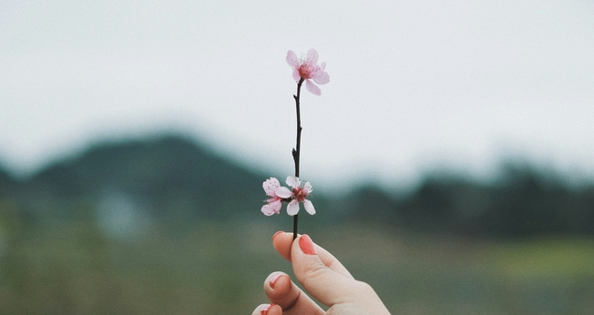 (Foto: Thirteen .J / Unsplash)