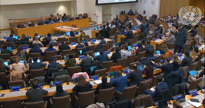 O Terceiro Comitê da Assembleia Geral das Nações Unidas aprovou a resolução. (Foto: Captura de tela/ONU).