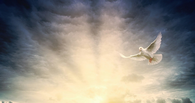 (Foto: Johannes Plenio / Unsplash)