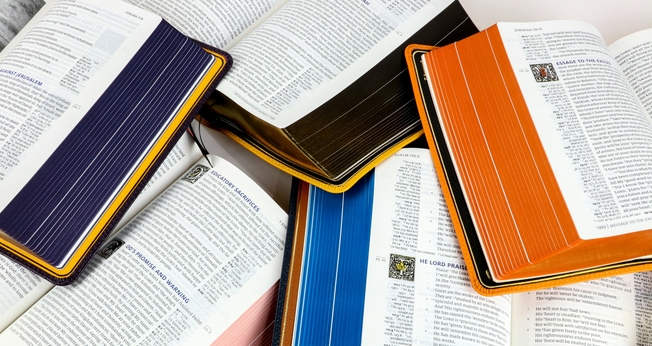 Imagem ilustrativa. (Foto: Unsplash/Humble Lamb).