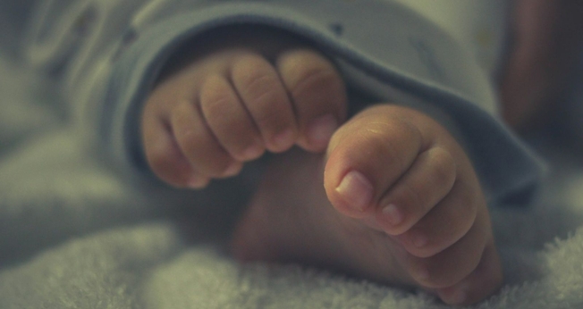 Imagem ilustrativa. (Foto: Unsplash/James V Sajeeve)