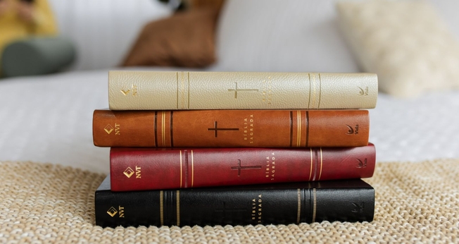 Bíblias. (Foto: Divulgação)