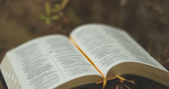 (Foto: Oscar Ivan Esquivel Arteaga / Unsplash)