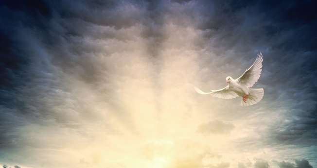 (Foto: Johannes Plenio / Unsplash)