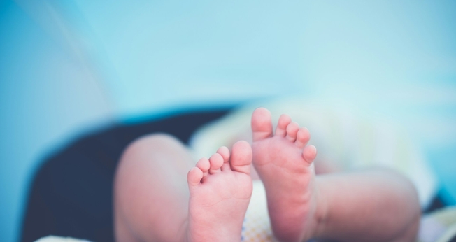 A divulgação da pesquisa provocou reações divididas na comunidade científica. (Foto: Janko Ferlič / Unsplash)